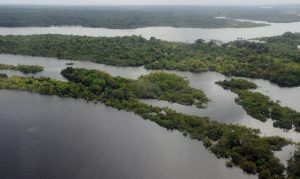 Projeto ampliará apoio a pesquisas científicas na Amazônia Legal