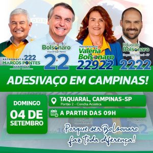 Leia mais sobre o artigo Adesivação em Campinas